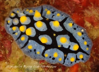 hurieri230920-yy.jpg