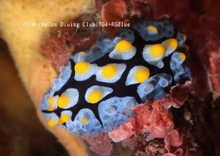 hurieri241224-y.jpg