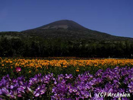 hurijiahuji07.jpg