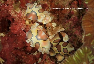 hurisode210125-ya.jpg