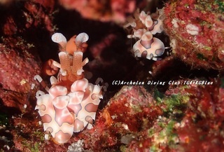 hurisode230825-n.jpg