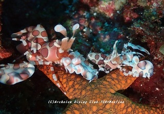 hurisode230826-n.jpg
