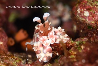 hurisode230829-n.jpg