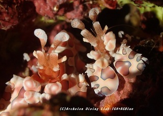 hurisode230831-n.jpg