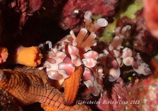 hurisode230916-na.jpg
