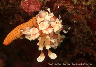 hurisode230921-yy.jpg