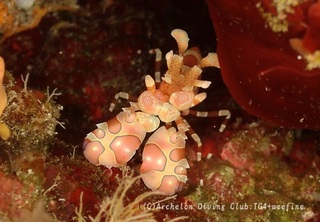hurisode231025-nyy.jpg