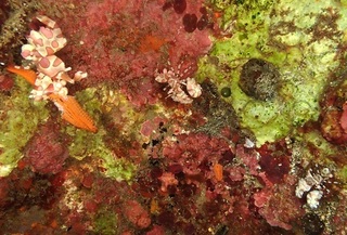 hurisode231029-y.jpg
