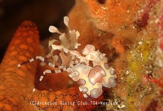 hurisode231118-s.jpg