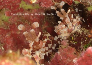 hurisode231122-n.jpg