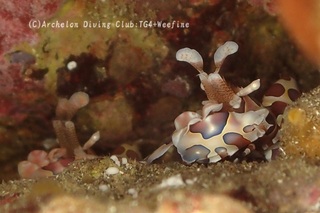 hurisode240102-y.jpg