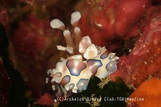 hurisode240108-y.jpg