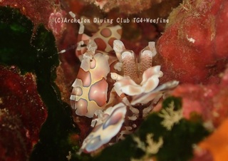 hurisode240126-y.jpg