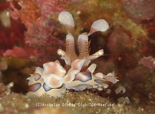 hurisode240331-y.jpg