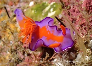 hutairo240508-y.jpg