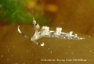 hyoumonmino250327-y.jpg