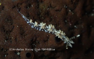 hyoumonmino250328-2.jpg