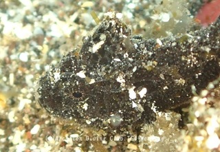 ibookoze240122-y.jpg