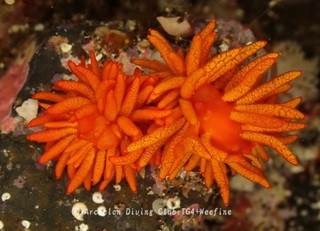 iboyagimino240620-y.jpg