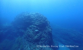 idesari240512-kyoide.jpg