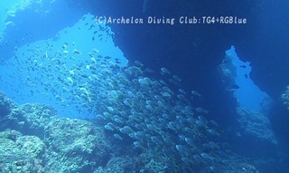 idesari240722-ide.jpg