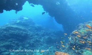 idesari240903-ide 03.jpg