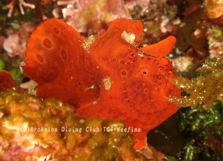irokaeru240220-s.jpg