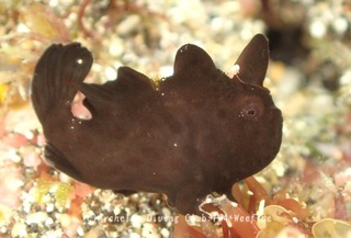 irokaeru240312-s02.jpg