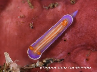 iroumi191126-02.jpg