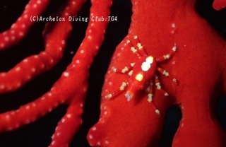 isobana241005-y.jpg