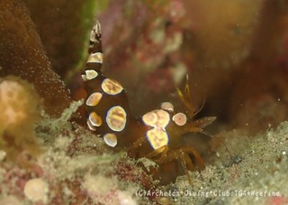 isoginmoebi240226-k.jpg