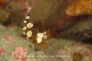 isoginmoebi240313-k.jpg
