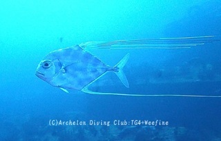 itohiki240122-y02-s.jpg