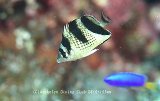 kagamichou240806-n.jpg