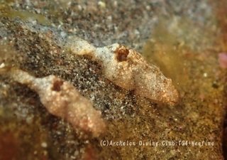 kakuremo231018-n.jpg