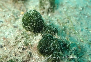 kami250414-k.jpg