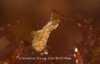 kanahuki240510-n.jpg