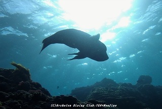 kanmuri210116-so.jpg