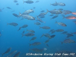 kanpa170815.jpg