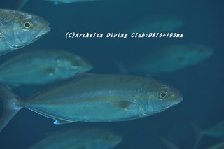 kanpa190412.jpg