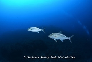 kanpa190604-01.jpg