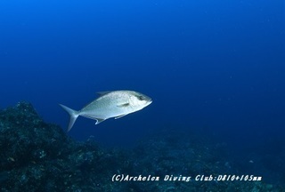 kanpa190605-01.jpg