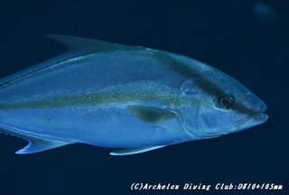 kanpa191105.jpg