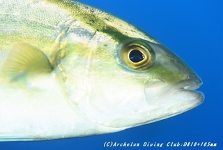 kanpa200228-01.jpg