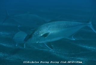 kanpa200323-01.jpg