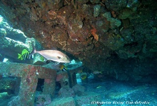 kanpa200709.jpg