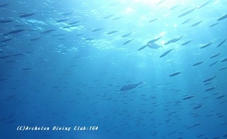 kanpa230901-tare02.jpg