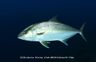 kanpa230903-funa01.jpg