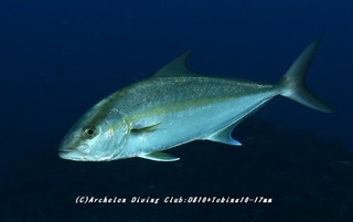 kanpa230903-funa03.jpg