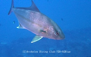 kanpa231204-y.jpg